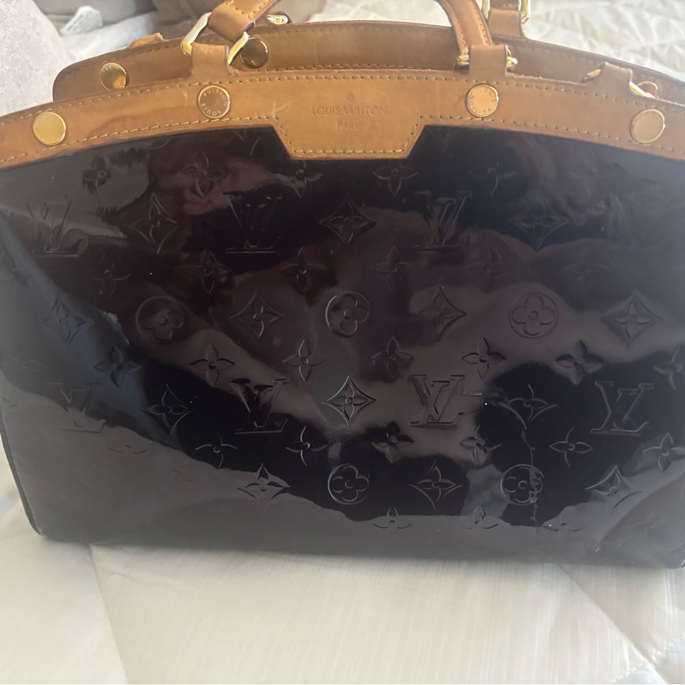 Louis Vuitton Glossy Burgundy and Tan Satchel